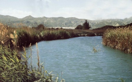 Ein kleiner Wasserlauf im La Marjal
